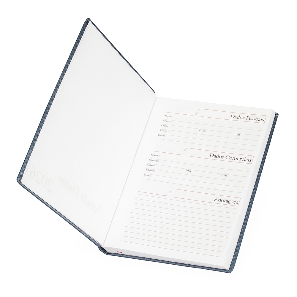 Agenda-Diaria-2026-7741d2-1754503178