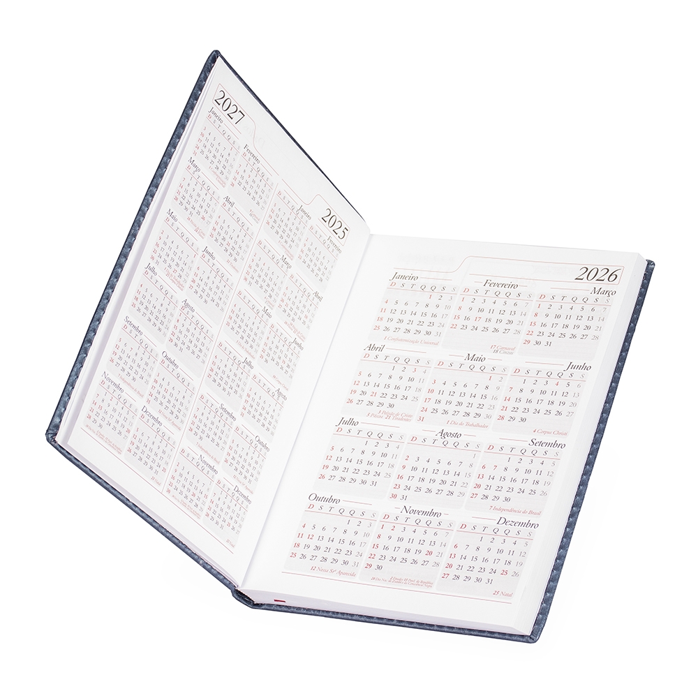 Agenda-Diaria-2026-7741d3-1754503178