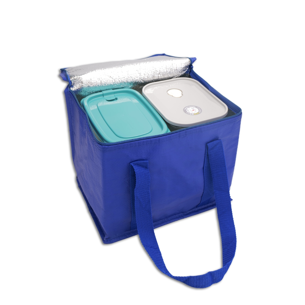 Bolsa-Termica-12-Litros-17367d2-1696624138