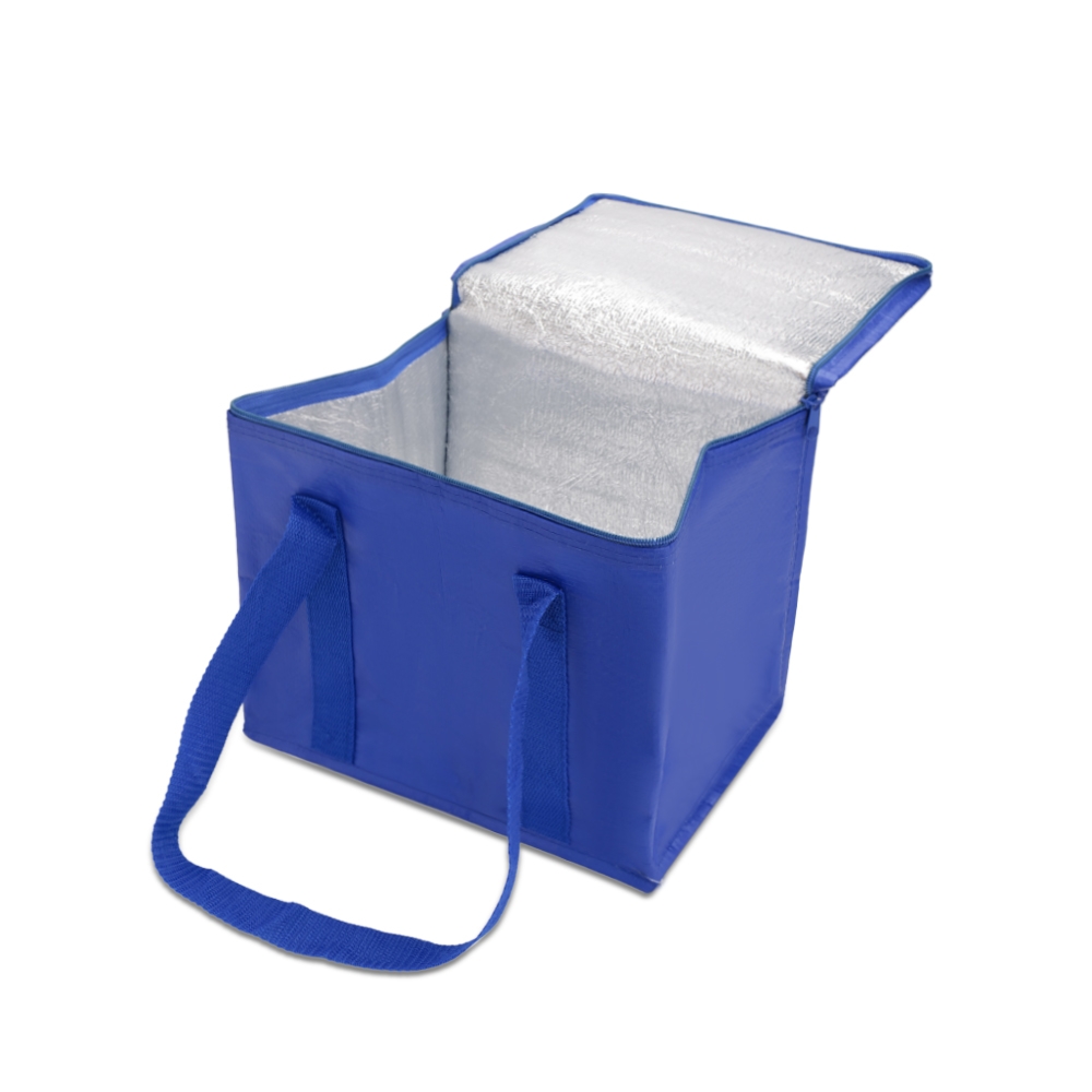 Bolsa-Termica-12-Litros-17367d3-1696624139