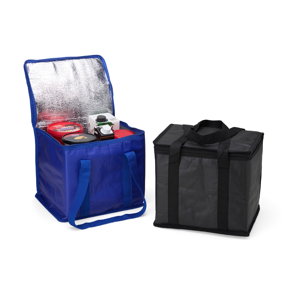 Bolsa-Termica-12-Litros-18788d1-1712004138