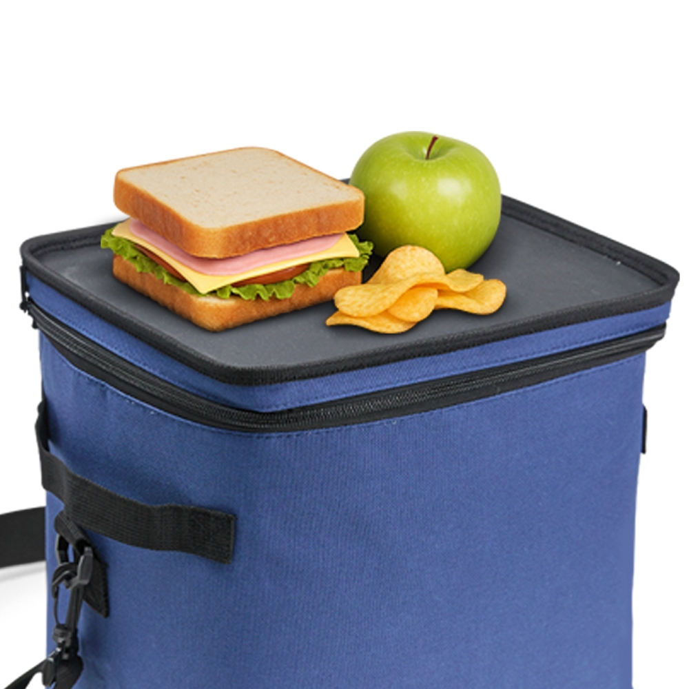 Bolsa-Termica-15-Litros-23159d5-1755031997