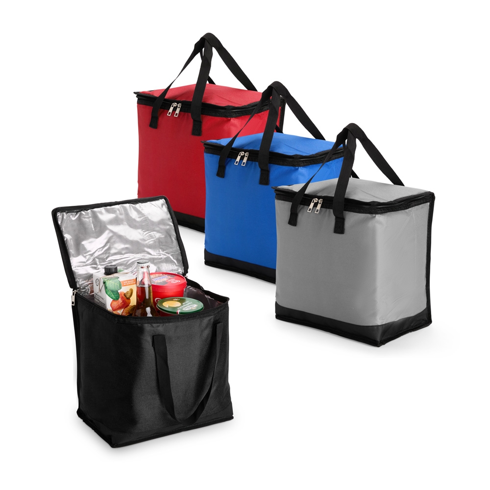 Bolsa-Termica-20-Litros-23758d1-1752856476