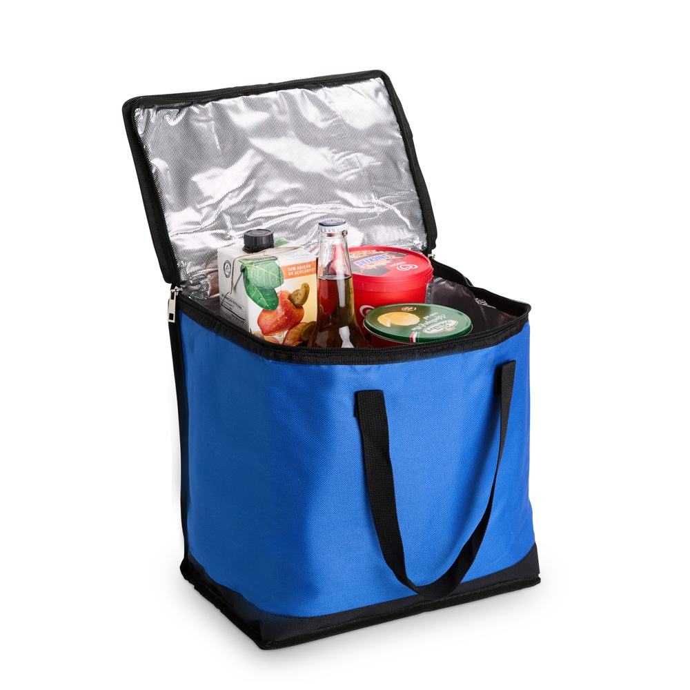 Bolsa-Termica-20-Litros-23758d2-1752856476