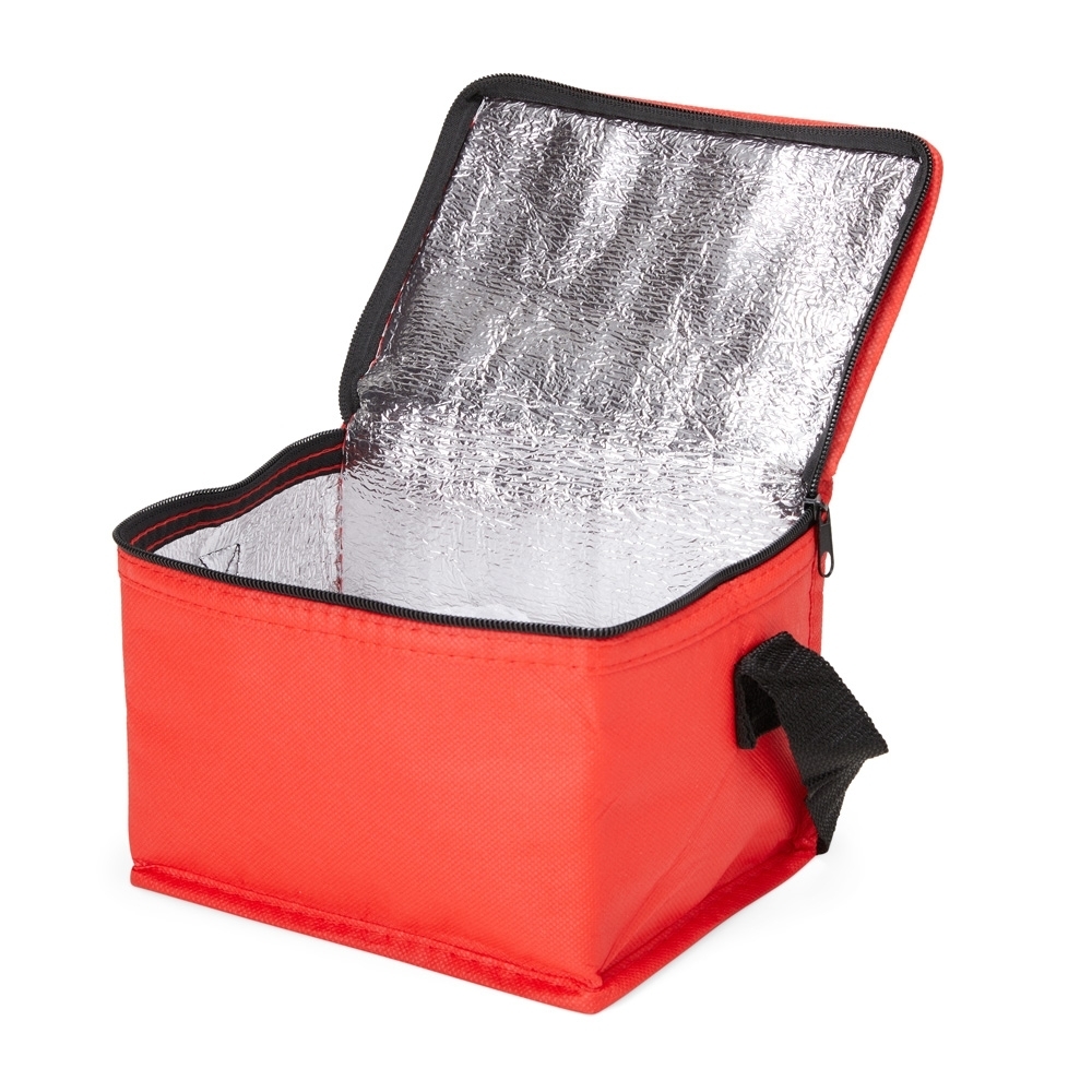 Bolsa-Termica-4-Litros-17189d4-1697204624