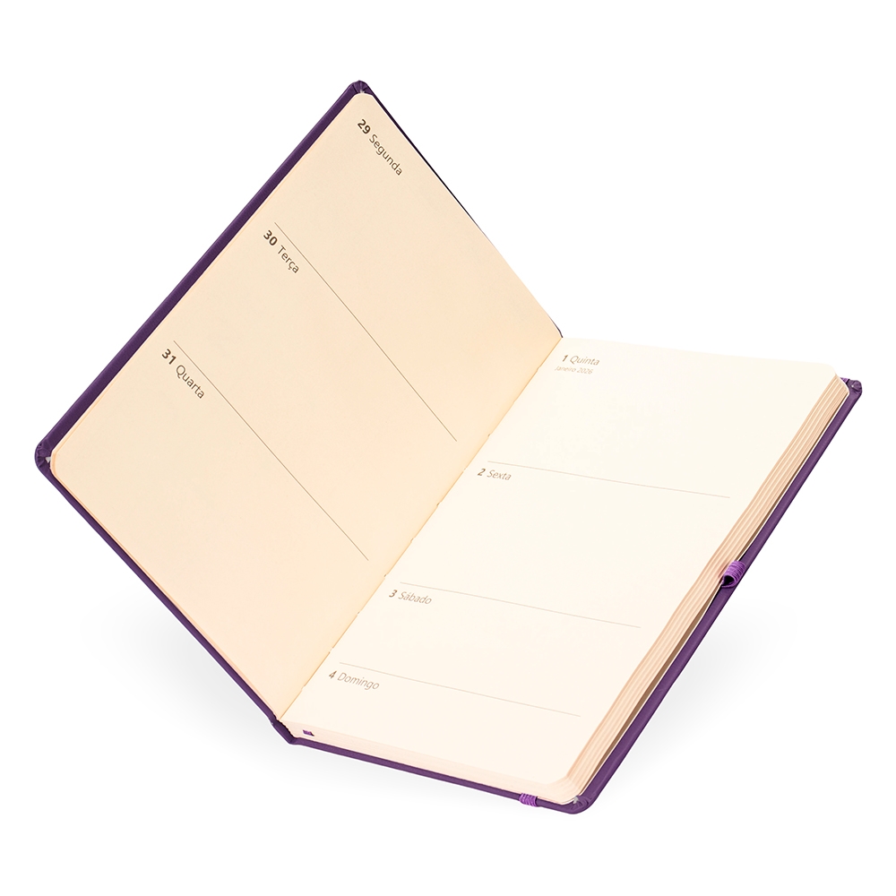 Planner-Cromato-Anual-19825d5-1753713388